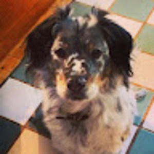 Meet your Posher, Evyan